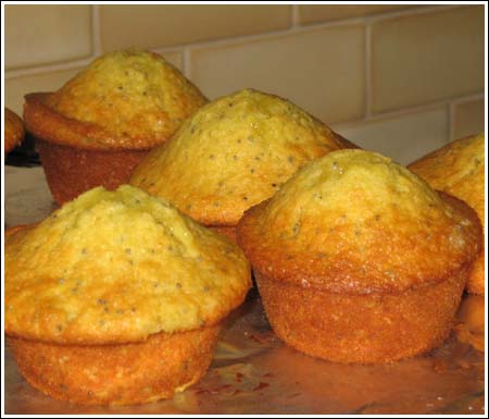 lemon muffins with pudding