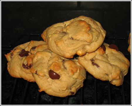 protein cookies.jpg