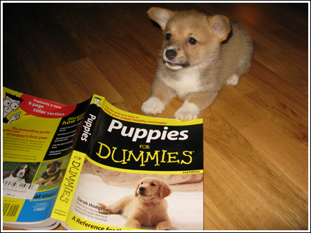 Lizzie’s Recommended Reading