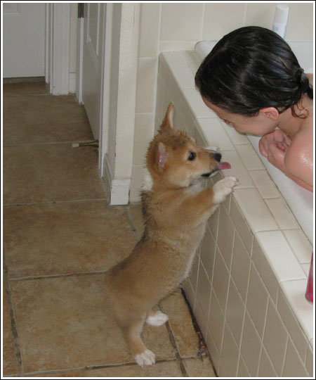 Lizzie Wants a Bath