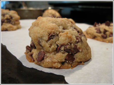 fattest-cookie-ever fattest chocolate chip cookie ever
