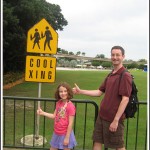 disney cool crossing disney cool crossing