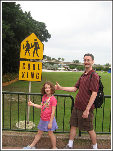 disney cool crossing disney cool crossing