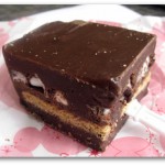 smoresfudge smoresfudge