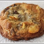 compostcookieday2 compostcookieday2