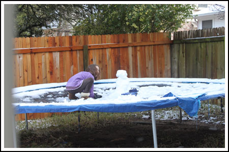 trampoline1 trampoline1