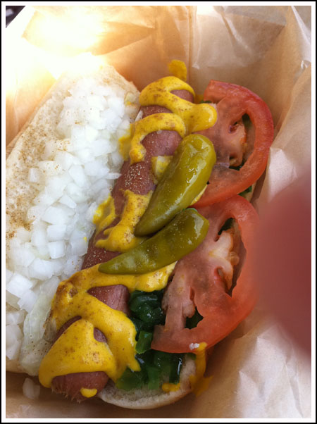 chicagohotdog Chicago Hot Dot