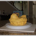 duckcrumblayer Duck Crumb Layer