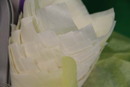 White Tulip Baking Liners