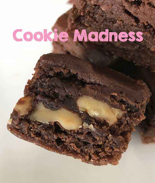Best Frosted Brownies