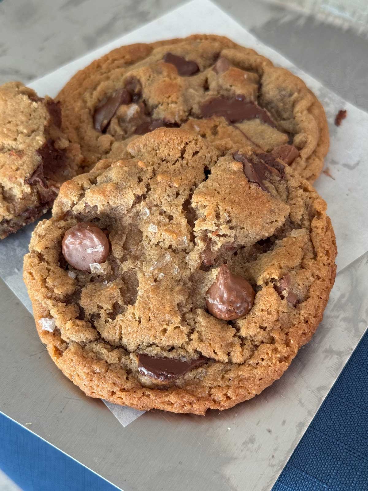 An easy recipe for chewy chocolate chip cookies made with malted milk powder, shortening and chocolate syrup.
