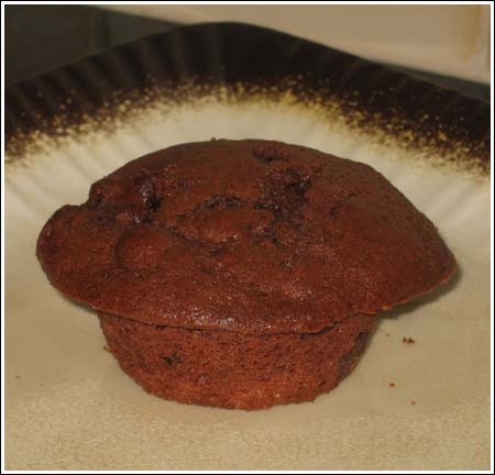 Chocolate Muffin