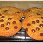 Giant Flat Chocolate Chip