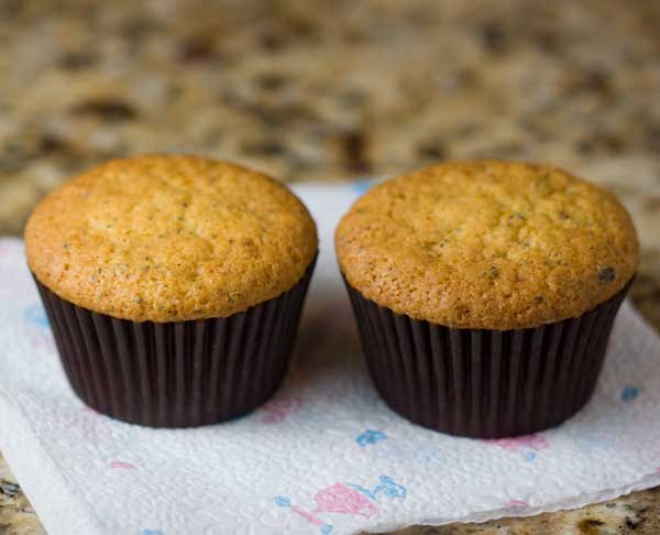 lemon pudding muffins