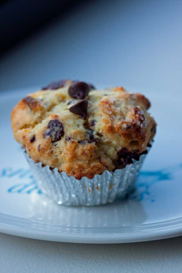 Ricotta Muffins - Cookie Madness