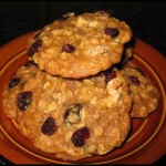 Big Fat Cranberry Oatmeal Cookie