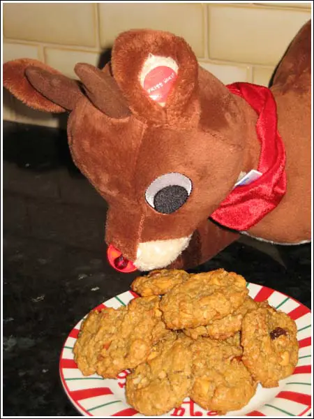 oatmeal cookies with rudolph