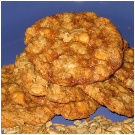 oatmeal scotchies