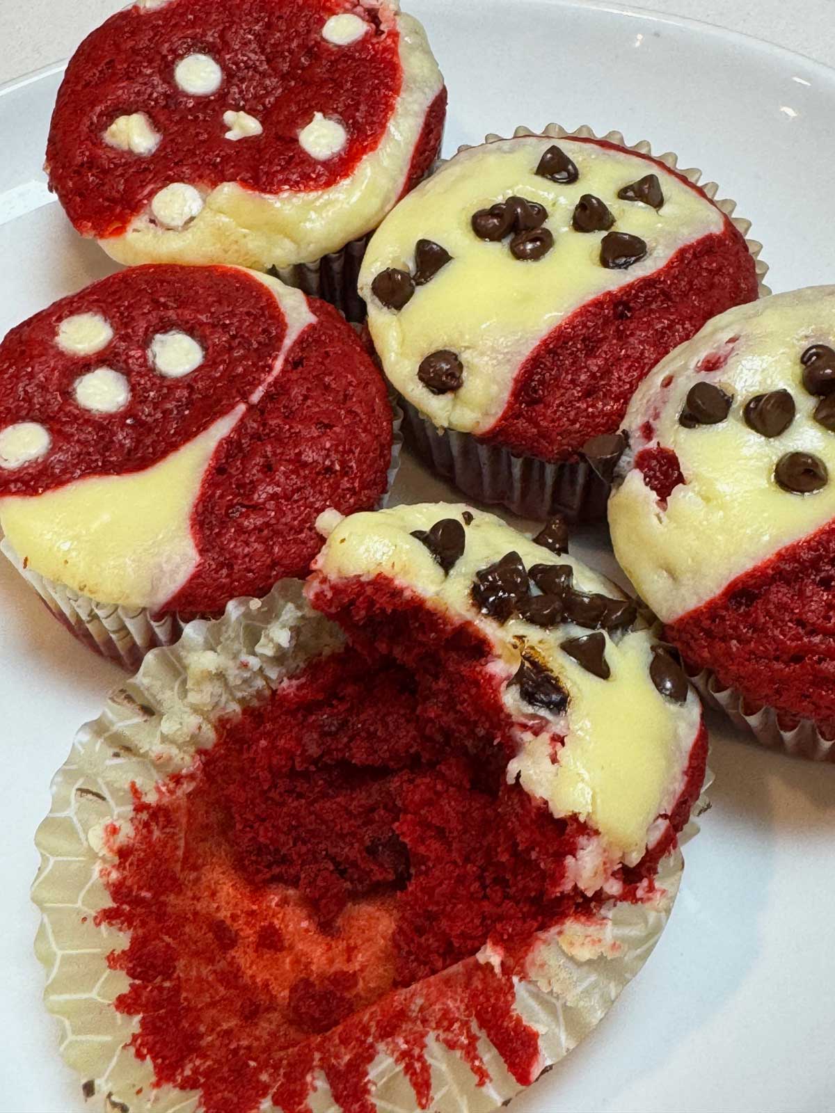 Multiple Red Velvet Cupcakes or Cheesecake Cups with one split to show texture.
