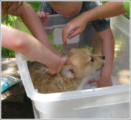 Lizzie’s Bath