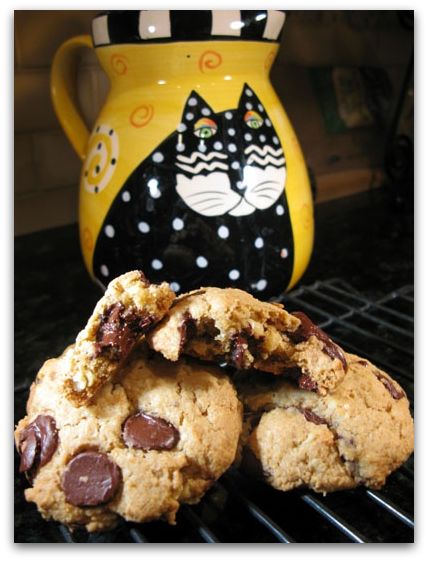 vegan oatmeal chocolate chip cookies