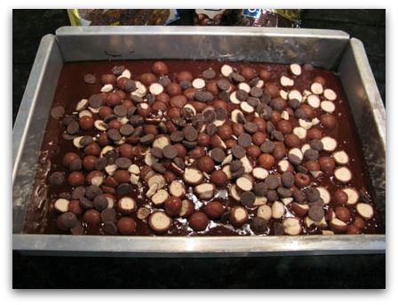 whoppers brownies