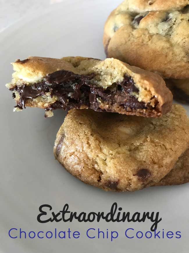 broken chocolate chip cookie