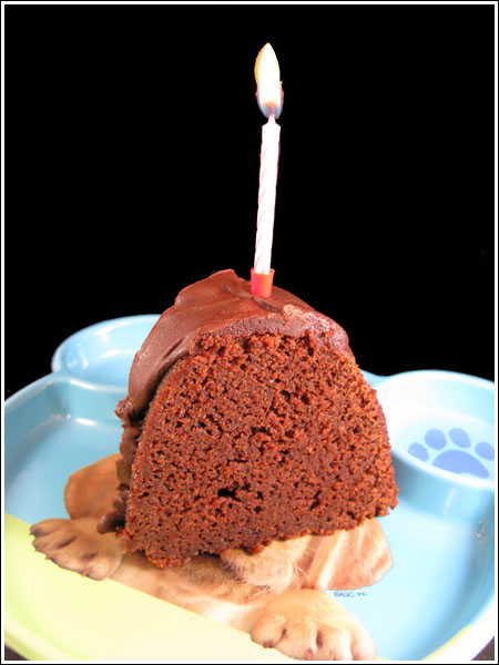 karencakeslice Hyde Park Fudge Cake recipe from Texas French Bread