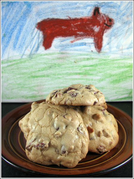 Cranberry Chocolate Chunk Cookies with Olive Oil