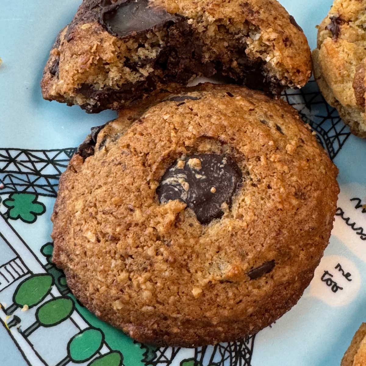 Hazelnut meal chocolate chip cookies are gluten-free and lower in sugar.