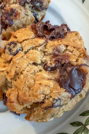 Agave Chocolate Chip Oatmeal Cookies