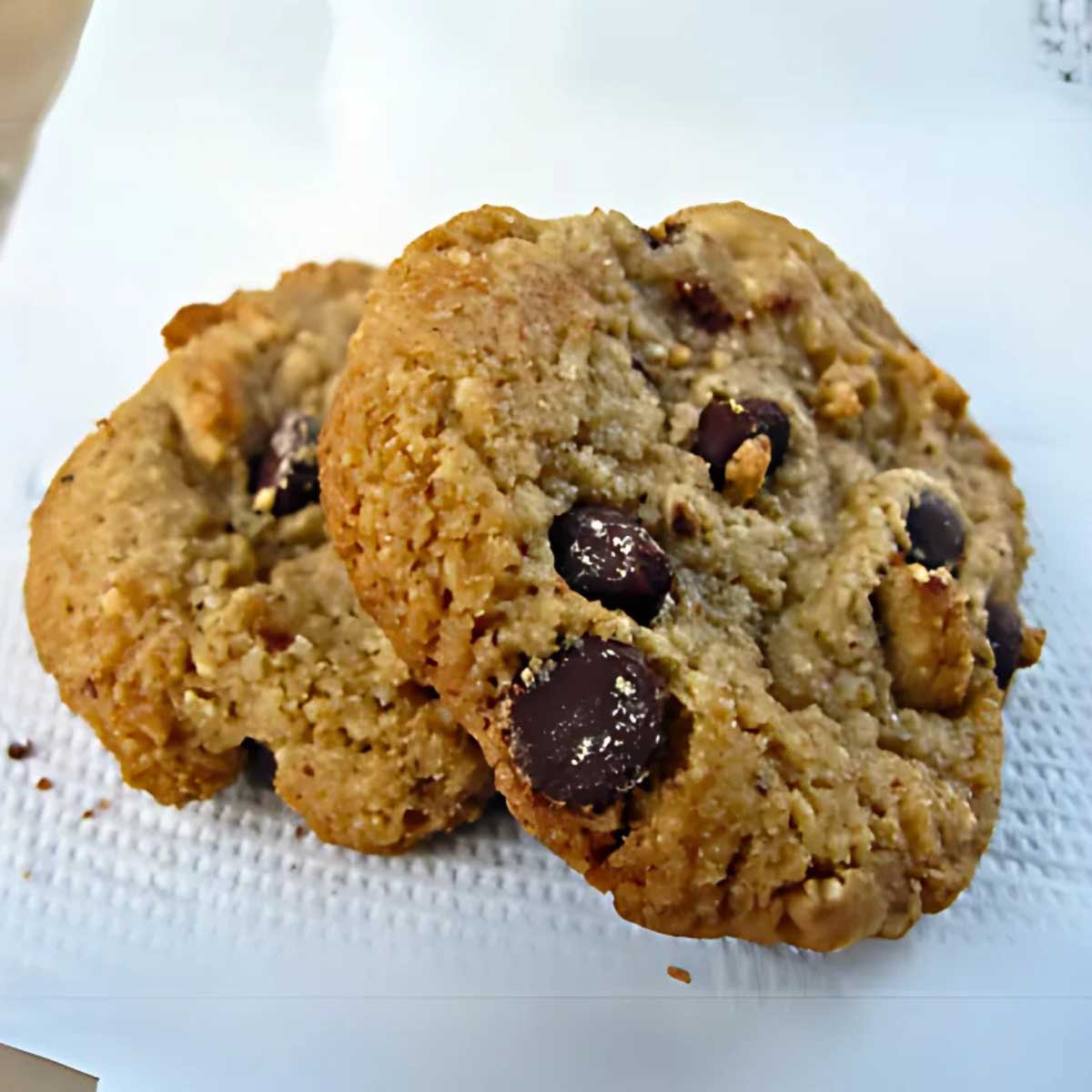 Gluten-Free Wheat Free Ground Nut Cookies recipe made with oat flour, hazelnut flour and almond flour.