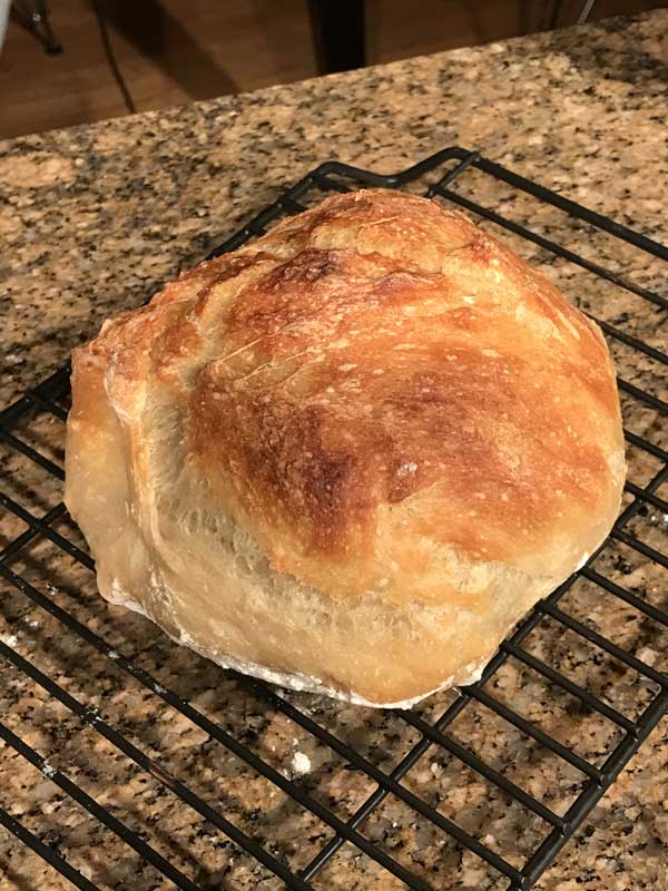 No knead bread