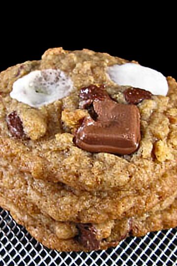 Small Batch S'mores Chocolate Chip Cookies recipe