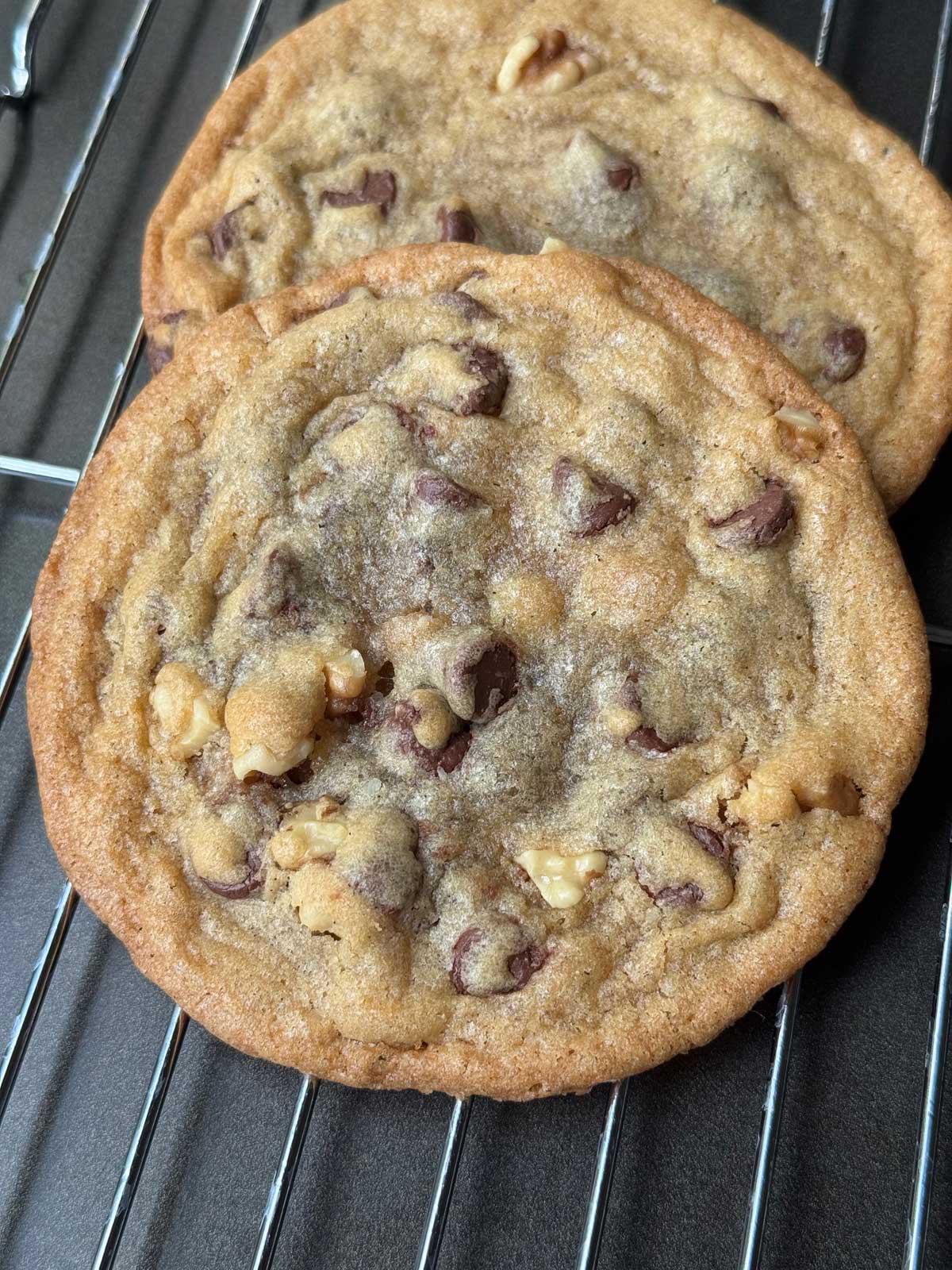 Blue Chip Cookies Chocolate Chip Cookie recipe adapted from The Great Book of Chocolate by David Lebovitz.