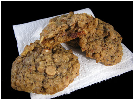 oatmeal cookie guy