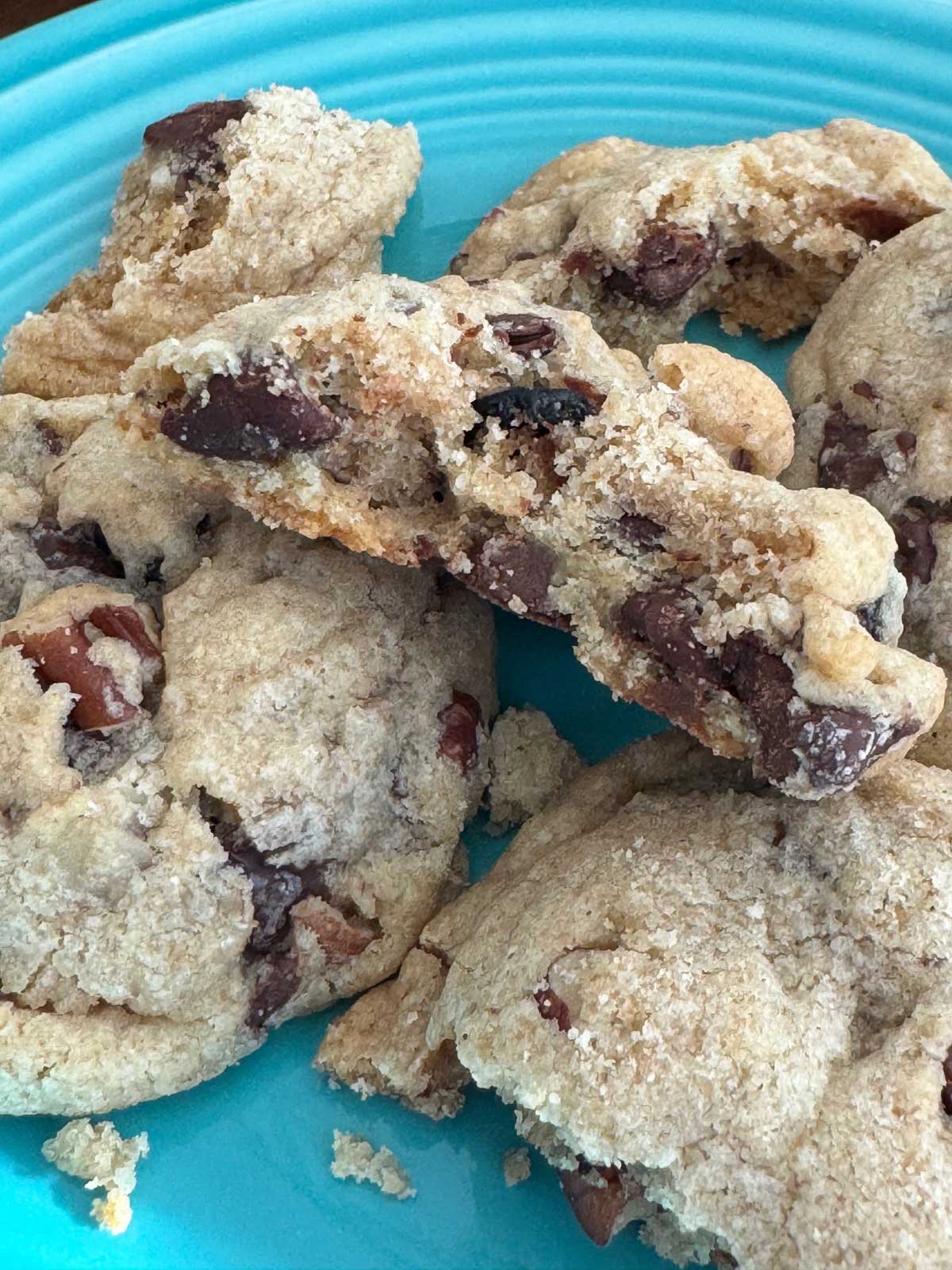 Blueberry chocolate chip cookies with pecans, whole wheat flour and semisweet chocolate chips.