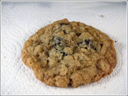 frog commissary oatmeal chocolate chip cookies