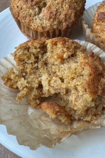 Yogurt Bran Muffins