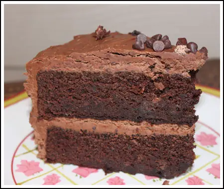 Cocoa Layer Cake