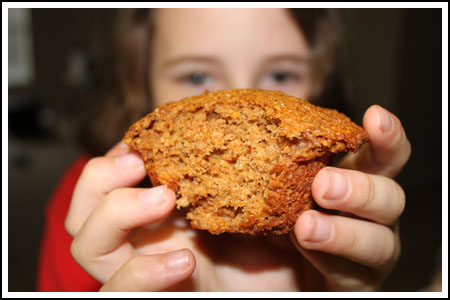 muffintexture Muffin Texture of a Claim Jumper muffin from copycat recipe