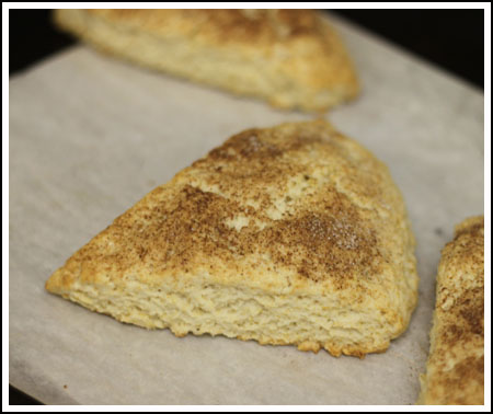 scone No Butter Cream Scones