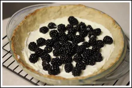 blackberry cream pie