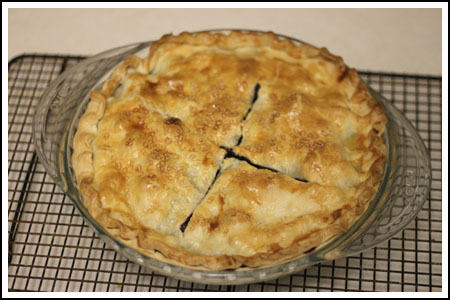 blueberry pie