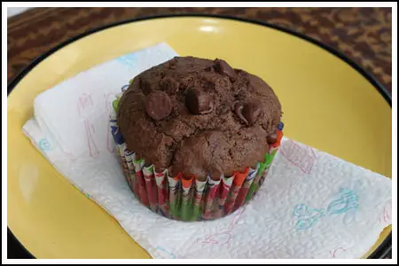 Easy Chocolate Muffins is a chocolate muffin recipe with self-rising flour