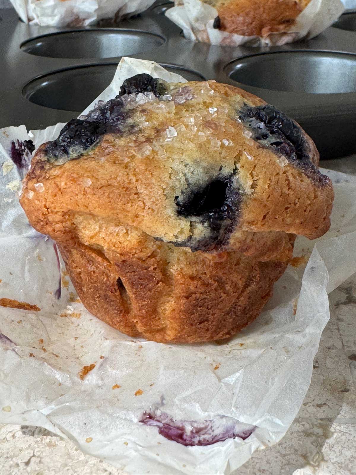 A golden brown fresh blueberry muffin adapted from the famous Lawsuit Muffins recipe.