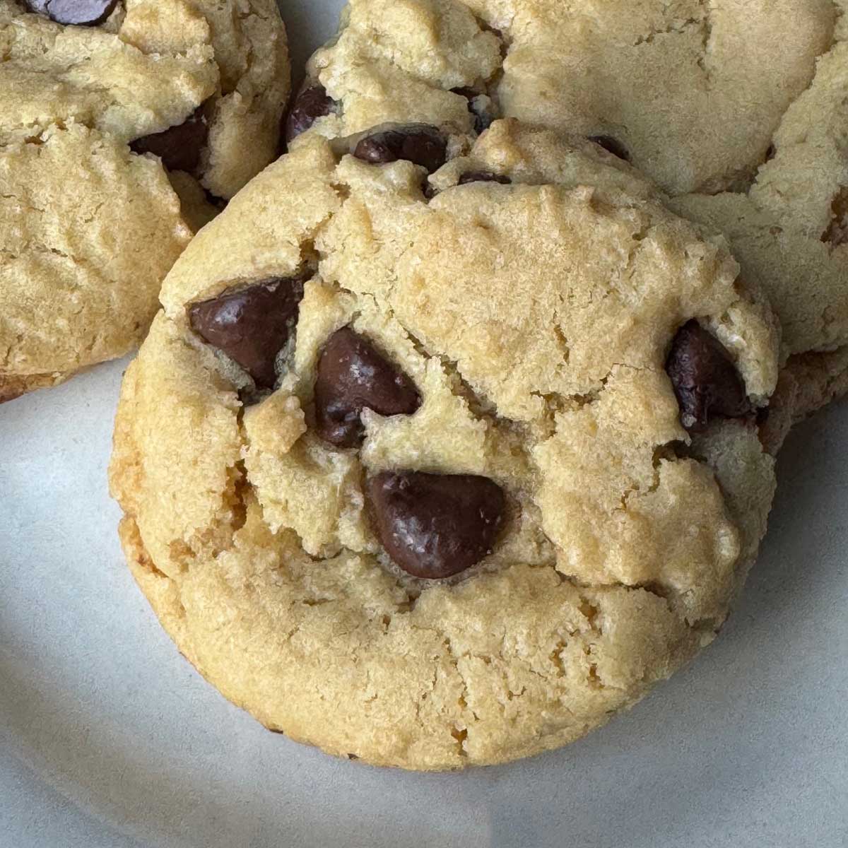 Vegan chocolate chip cookies from Dreena Burton's Vive le Vegan