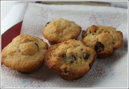 chocolate chip mini muffins