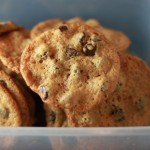 Malted Chocolate Chip Cookies