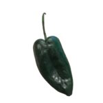 poblano